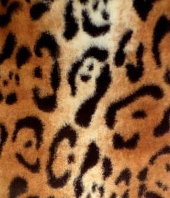 Jaguar Minky Fabric
