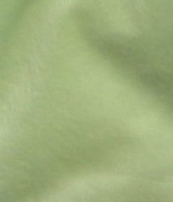Baby Mint Snuggle Solid Minky Fabric