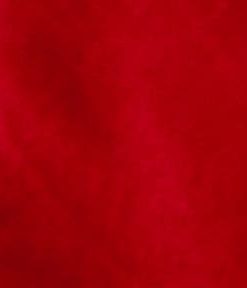 Red Snuggle Solid Minky Fabric