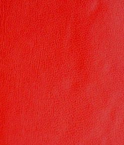 Red Faux Lambskin Vinyl