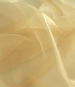 Gold Twinkle Organza Fabric