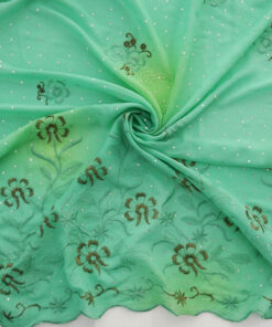 Mint Hologram & Embroidered Border Chiffon Fabric 1050