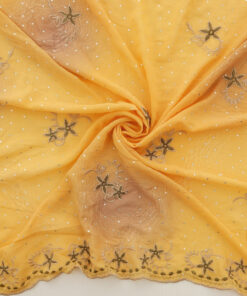Mango Hologram & Embroidered Border Chiffon Fabric 1031