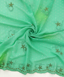Mint Hologram & Embroidered Border Chiffon Fabric 1030